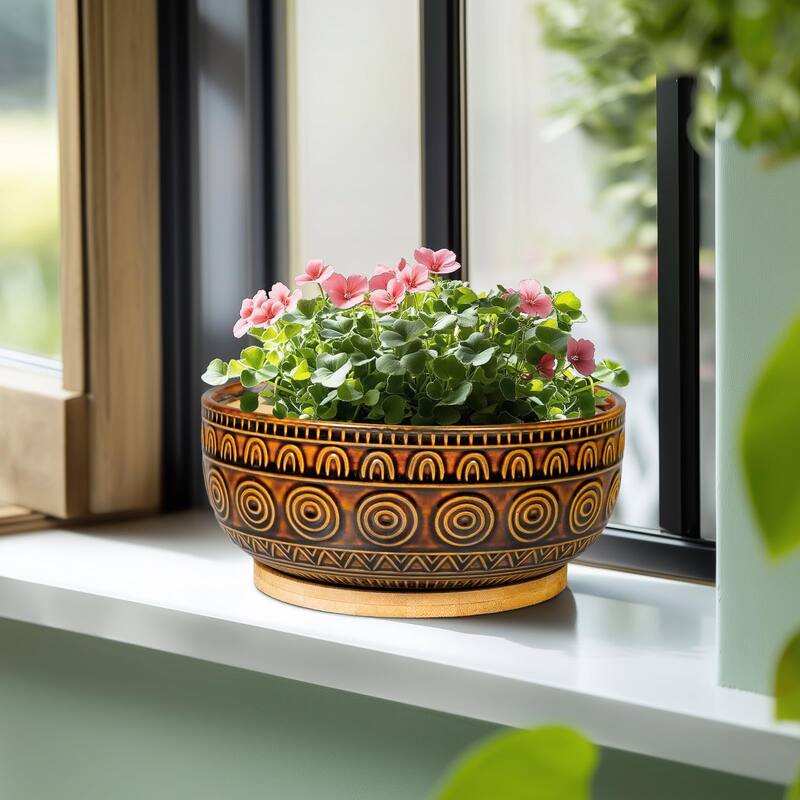 Vasos de bonsai de cerâmica Eightpot 20cm com pires para plantas